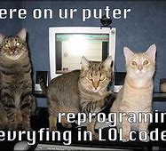 Image result for Cat Mood Meme