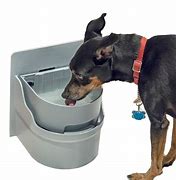 Image result for Dog Water Trough