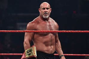 Image result for Most Popular WWE Wrestlers