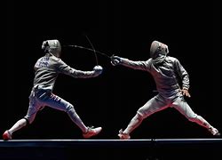 Image result for Fencing