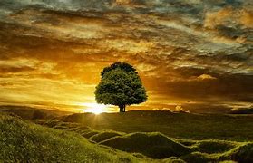 Image result for Pixabay Stunning Free Images