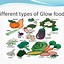 Image result for Go Glow Grow Foods Drawing