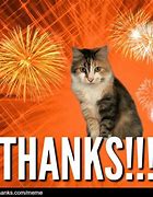 Image result for Thank You Cat Meme Office