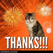 Image result for Cat Saying Thank You Meme