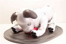 Image result for Aibo Ers 1000 Ivory White