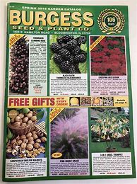 Image result for Fruit Tree Seeds Catalogs