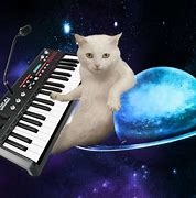 Image result for Cats On Synthesizers in Space