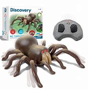 Image result for Grow a Spider Toy