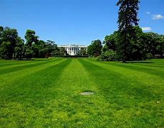 Image result for President in the White House