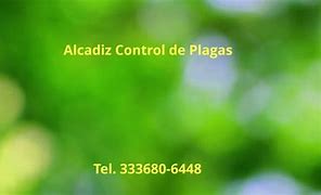 Image result for alcadiz