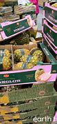Image result for Case of Pineapples