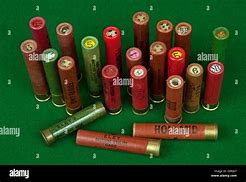 Image result for 410 Shotgun Cartridges