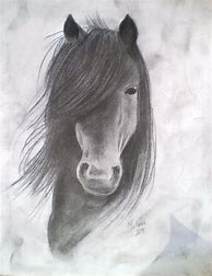 Image result for Charcoal Horse Drawing