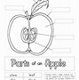 Image result for Parts of Apple Tree