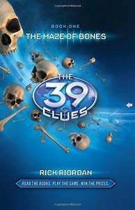 Image result for 39 Clues Maze of Bones Puzzle Game