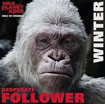 Image result for Albino Monkey Planet of the Apes