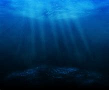 Image result for Underwater Scene Clip Art