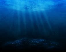 Image result for Underwater Ocean View
