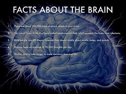 Image result for Facts About the Brain True