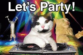 Image result for Cat Welcome Meme Party