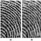 Image result for Fingerprint Enhancer