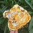 Image result for 24 Karat Gold Dipped Rose