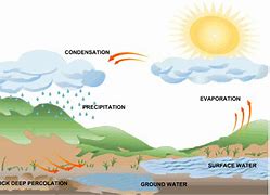 Image result for Rain Life Cycle