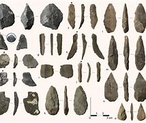 Image result for Stone Tools Artifacts