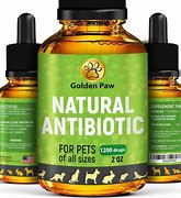 Image result for Antibiotics for Pets
