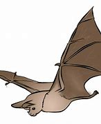 Image result for Realistic Bat Clip Art