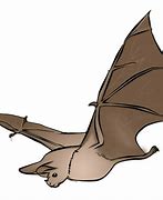 Image result for Bat Digital Art
