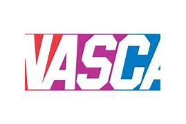 Image result for NASCAR Flag.png