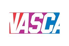 Image result for NASCAR Fan Art