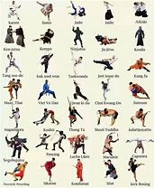 Image result for Best Sword Martial Arts Movies