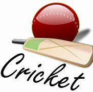Image result for Cricket Bat Cartoon Store Photos