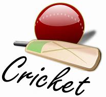 Image result for Cricket Art