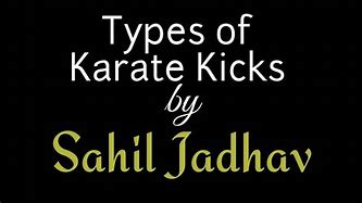 Image result for Types of Karate Kicks