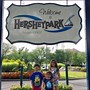 Image result for Hershey Park Kids Rides