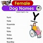Image result for Funny Boy Dog Names