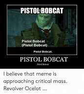 Image result for Critical Mass Meme