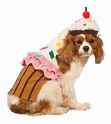 Image result for Cupcake Dog Scary