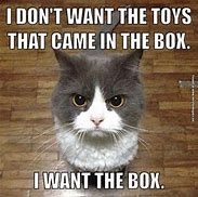 Image result for Cat Disney World Box Meme