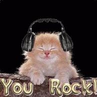 Image result for Kitten You Rock Meme