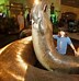 Image result for What Is the Biggest Bogger in the World