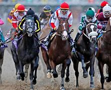 Image result for Types of Horse Racing