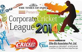 Image result for Cricket Banner Design
