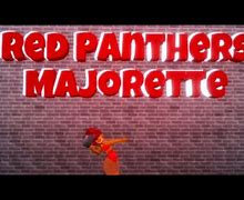 Image result for Panther MLV