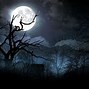Image result for Dark Night of the Scarecrow Wallpaper