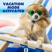 Image result for Funny Memes About Vacation