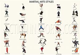 Image result for Every Type of Martial Art